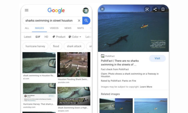 Google sta aggiungendo la funzione fact-checking alla scheda “immagini”