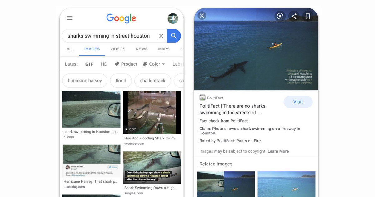 Google sta aggiungendo la funzione fact-checking alla scheda “immagini”